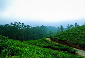 North East India